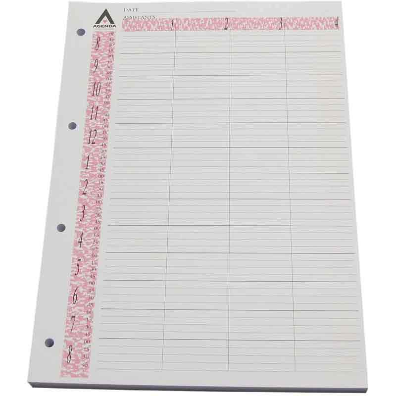 Loose Leaf Refill Pages, 4 Column (100)