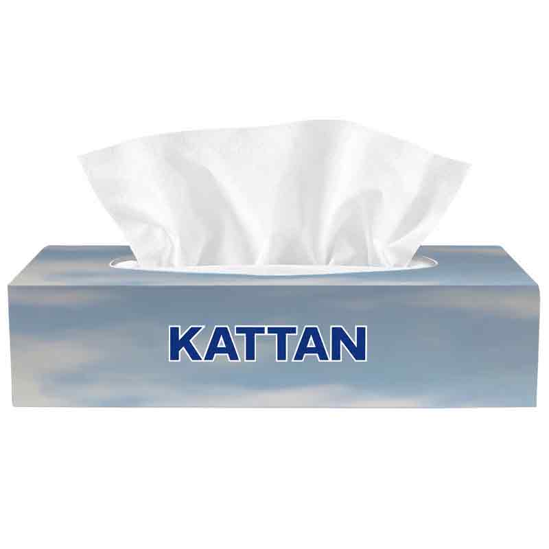 A+F Pro Facial Tissues, Professional (100)