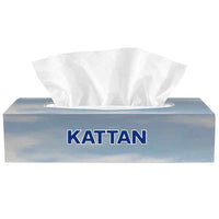 A+F Pro Facial Tissues, Professional (100)