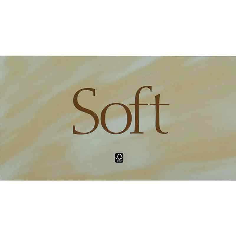A+F Pro Facial Tissues, Mansize (100)