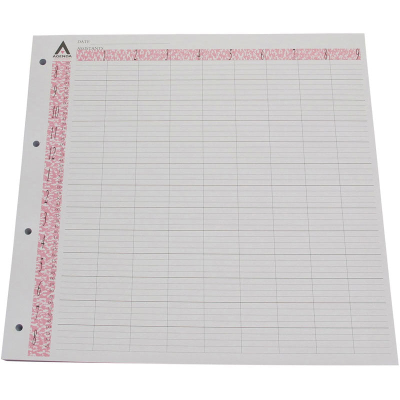 Loose Leaf Refill Pages, 9 Column (100)