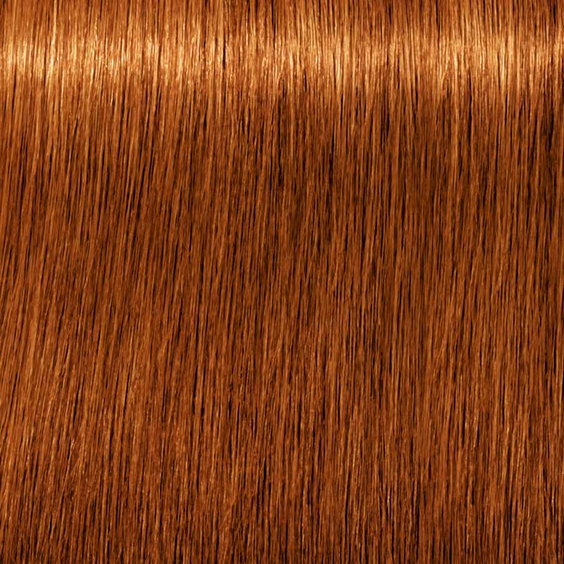 Schwarzkopf Professional Igora Royal Absolutes 60ml