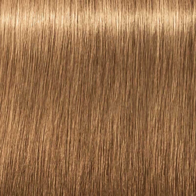 Schwarzkopf Professional Igora Royal Absolutes 60ml