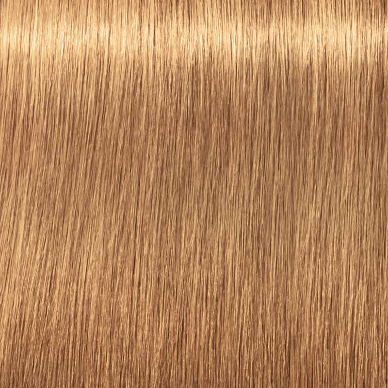 Schwarzkopf Professional Igora Royal Absolutes 60ml
