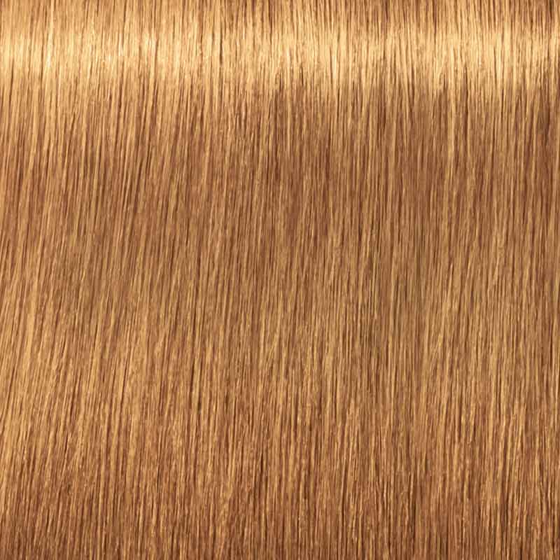 Schwarzkopf Professional Igora Royal Absolutes 60ml