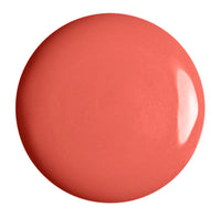 Hara Gel Polish 10ml Last Chance To Buy