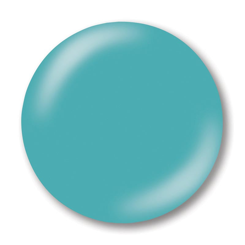 NSI Secrets Removable Coloured Gel 6g