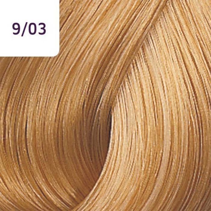 Leesbaarheid zebra Geleerde Wella Color Touch, 9/03 Very Light Natural Gold Blonde 60ml